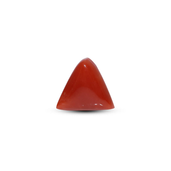 Red Coral - Moonga - 8.5 Carat - Pramogh