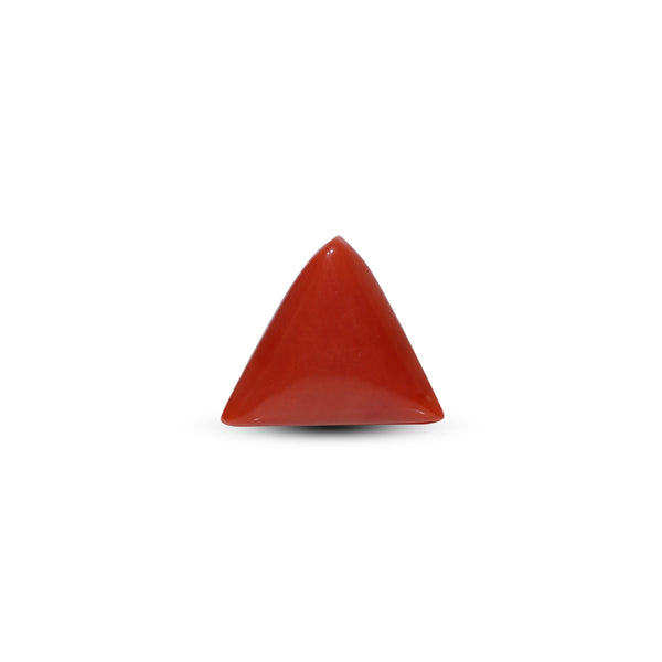 Red Coral - 9.25 Carat