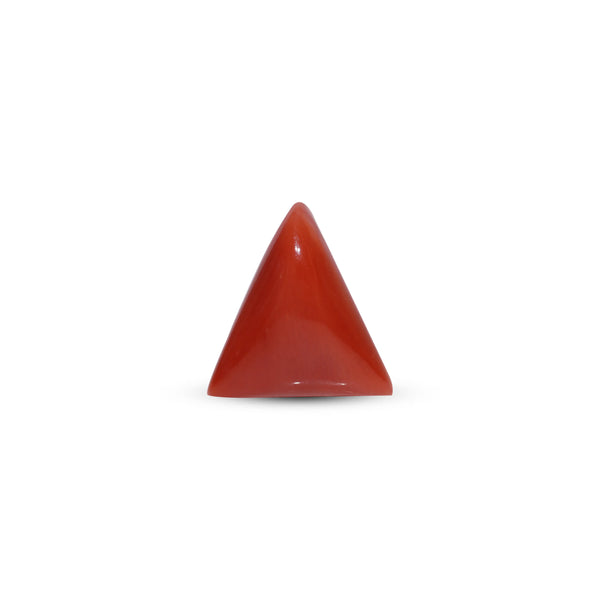 Red Coral - Moonga - 9.2 Carat - Pramogh