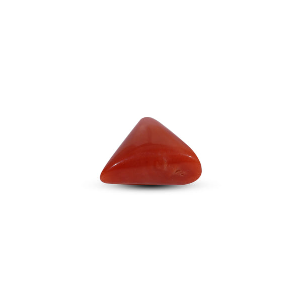 Red Coral - 9.2 Carat
