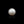 Load image into Gallery viewer, South Sea Pearl - 8.1 Carat - Pramogh