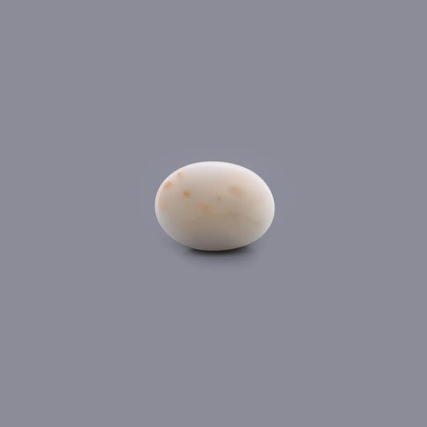 White Coral - 8.74 Carat - Pramogh