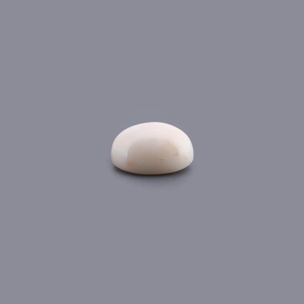 White Coral - 8.74 Carat - Pramogh