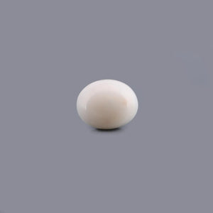 White Coral - 11.8 Carat - Pramogh