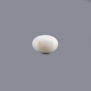 White Coral - 9.7 Carat - Pramogh