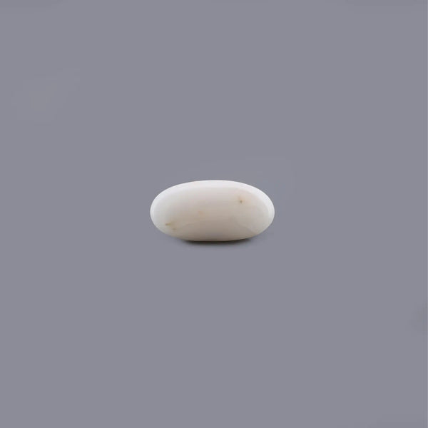 White Coral - 5.61 Carat - Pramogh