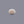 Load image into Gallery viewer, White Coral - 7.73 Carat - Pramogh