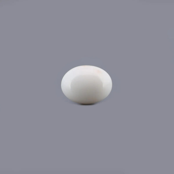 White Coral - 8.12 Carat - Pramogh