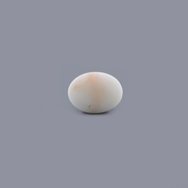 White Coral - 8.12 Carat - Pramogh