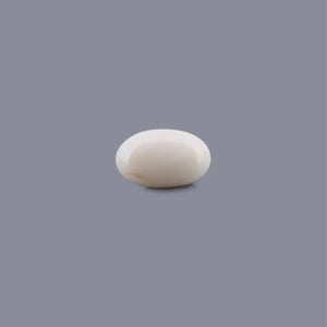 White Coral - 10.33 Carat - Pramogh