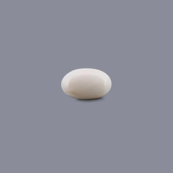White Coral - 10.33 Carat - Pramogh