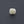 Load image into Gallery viewer, White Coral - 4.63 Carat - Pramogh