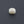 Load image into Gallery viewer, White Coral - 4.63 Carat - Pramogh