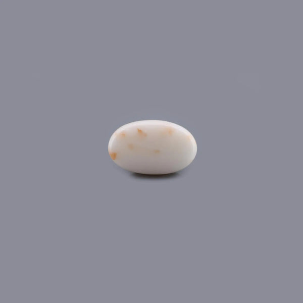 White Coral - 13.4 Carat - Pramogh