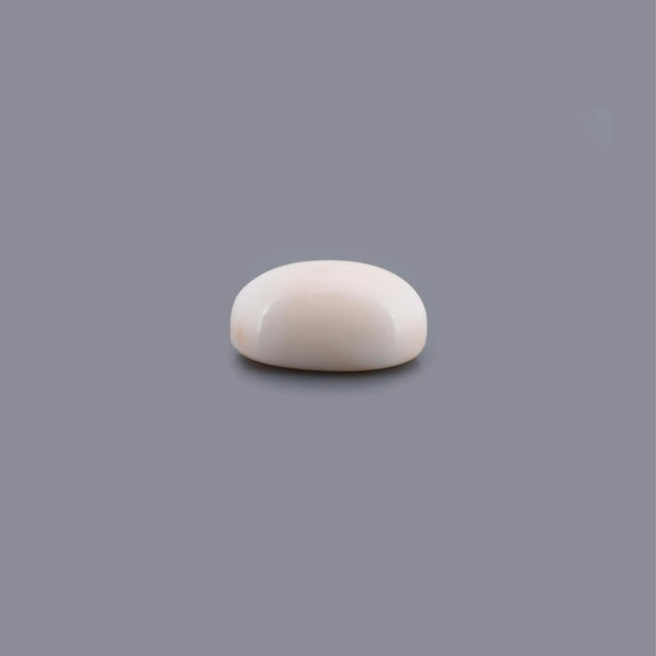White Coral - 13.4 Carat - Pramogh
