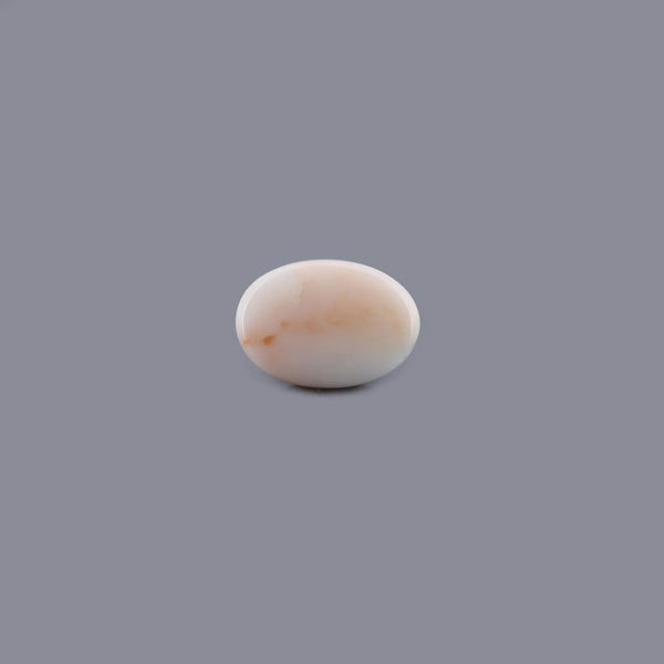 White Coral - 16.25 Carat - Pramogh