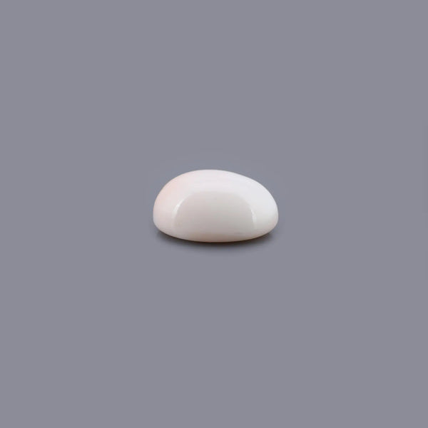 White Coral - 16.25 Carat - Pramogh