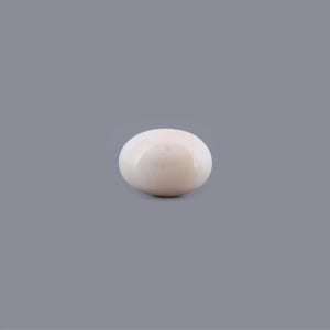 White Coral - 15.47 Carat - Pramogh
