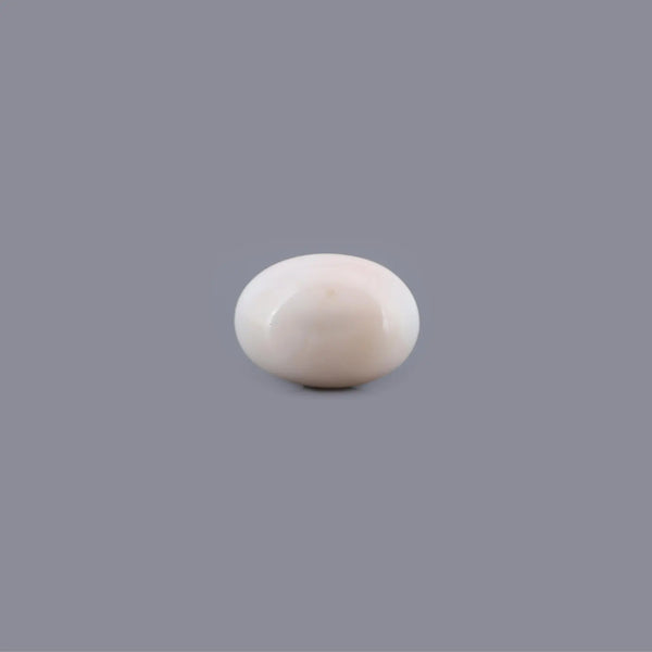 White Coral - 15.47 Carat - Pramogh