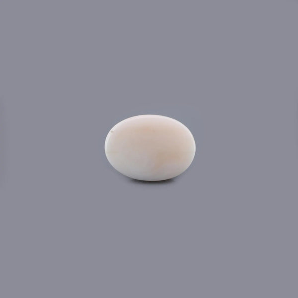 White Coral - 15.47 Carat - Pramogh