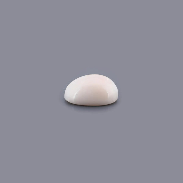 White Coral - 15.47 Carat - Pramogh