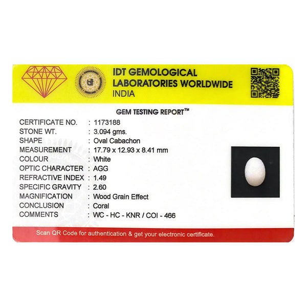 White Coral - 15.47 Carat - Pramogh