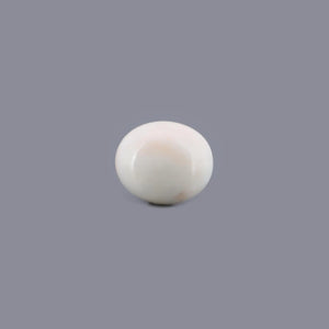 White Coral - 13.03 Carat - Pramogh