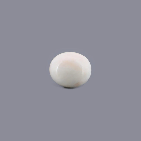 White Coral - 13.03 Carat - Pramogh