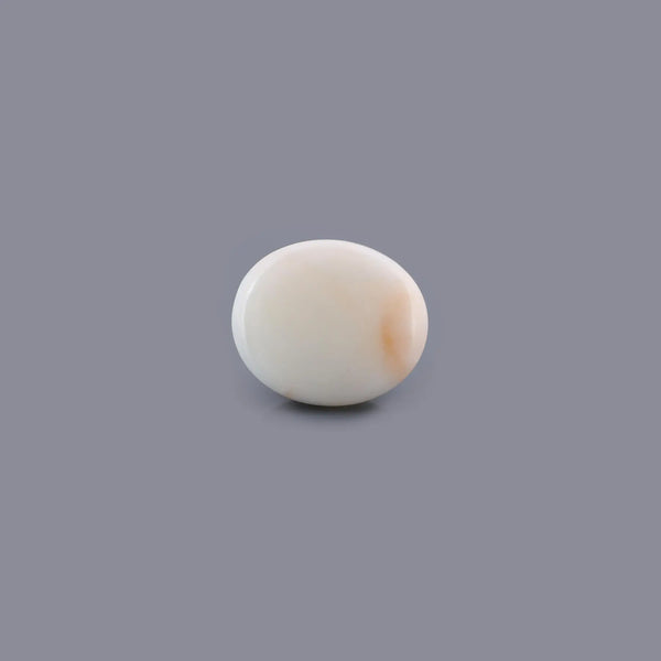 White Coral - 13.03 Carat - Pramogh