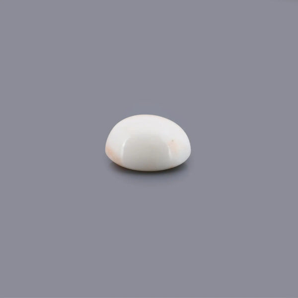 White Coral - 13.03 Carat - Pramogh