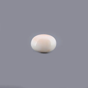 White Coral - 15.22 Carat - Pramogh