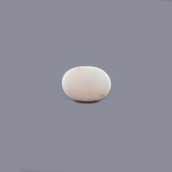 White Coral - 15.22 Carat - Pramogh