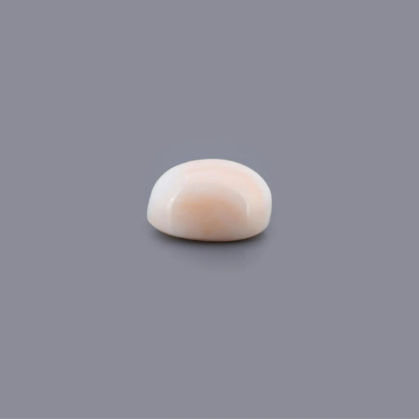 White Coral - 15.22 Carat - Pramogh