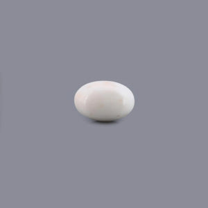 White Coral - 17.38 Carat - Pramogh