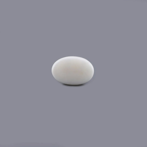 White Coral - 17.38 Carat - Pramogh