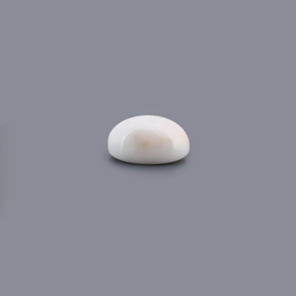 White Coral - 17.38 Carat - Pramogh