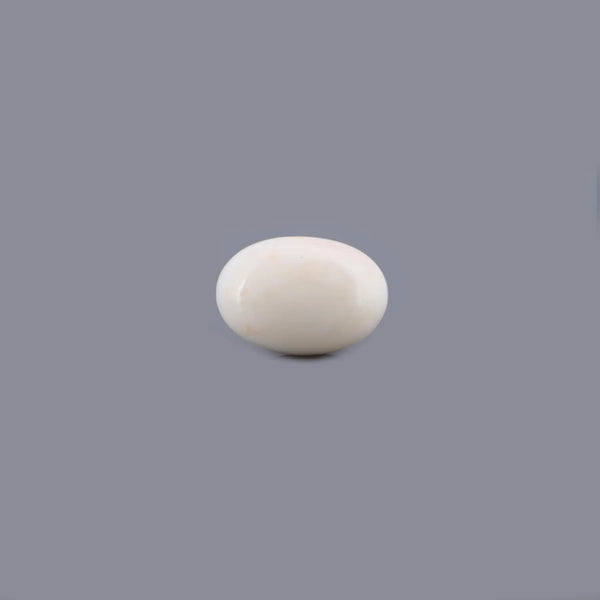 White Coral - 14.5 Carat - Pramogh
