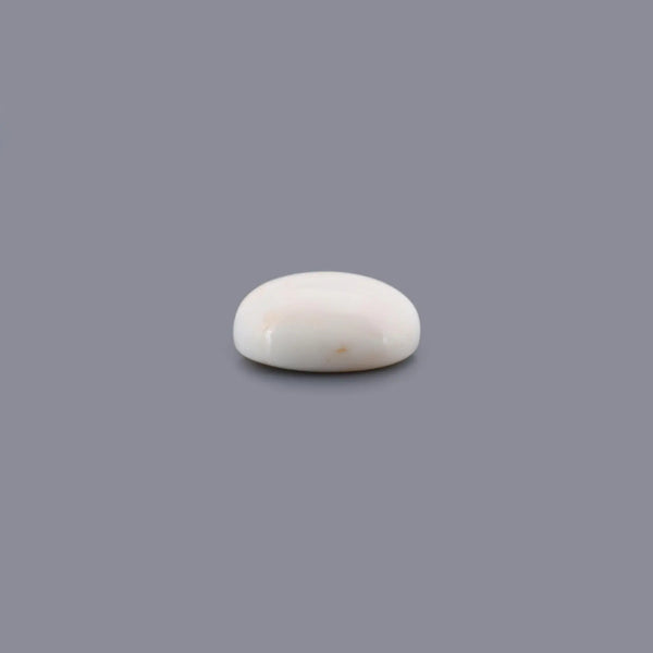 White Coral - 14.5 Carat - Pramogh