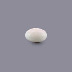 White Coral - 16.93 Carat - Pramogh