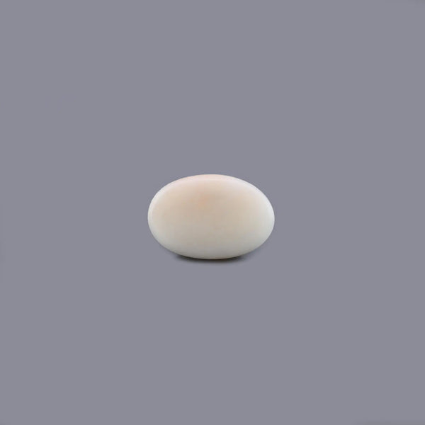 White Coral - 16.93 Carat - Pramogh
