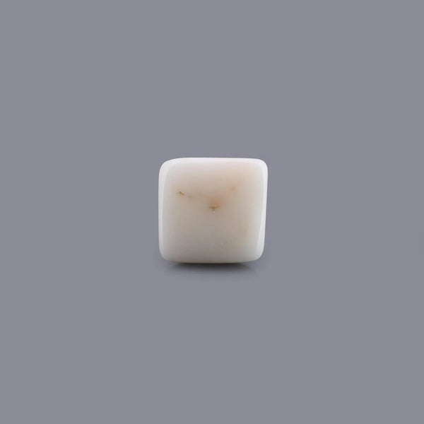 White Coral - 14.97 Carat - Pramogh