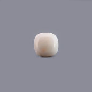 White Coral - 14.29 Carat - Pramogh