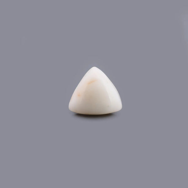 White Coral - 12.63 Carat - Pramogh