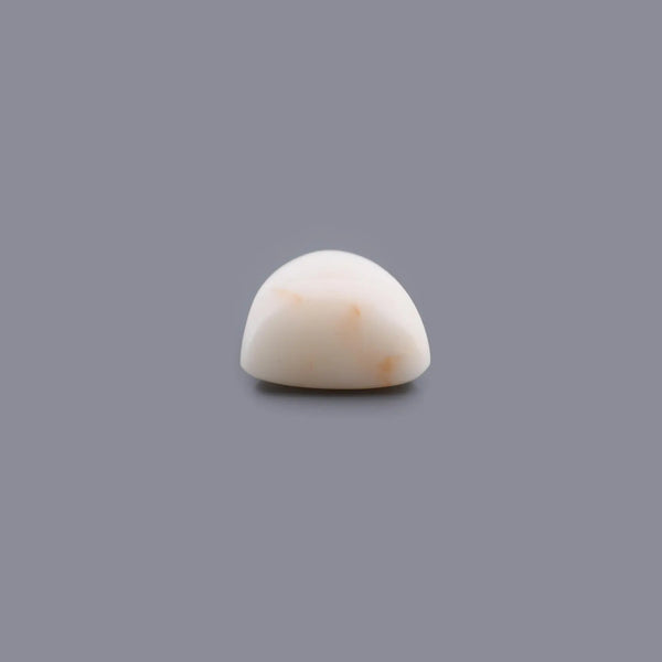 White Coral - 12.63 Carat - Pramogh