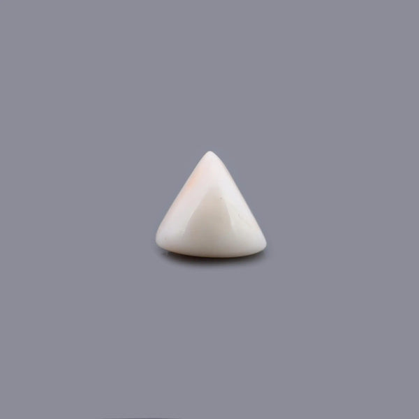 White Coral - 24.65 Carat - Pramogh