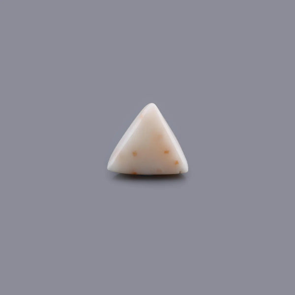 White Coral - 24.65 Carat - Pramogh