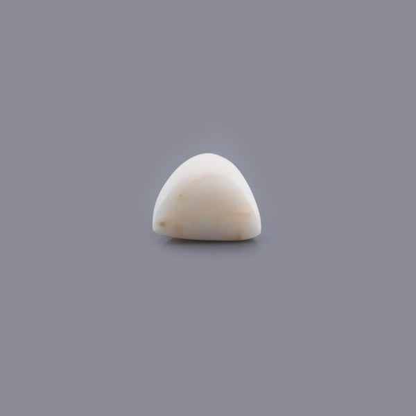 White Coral - 24.65 Carat - Pramogh