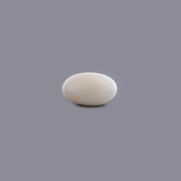 White Coral - 5.93 Carat - Pramogh