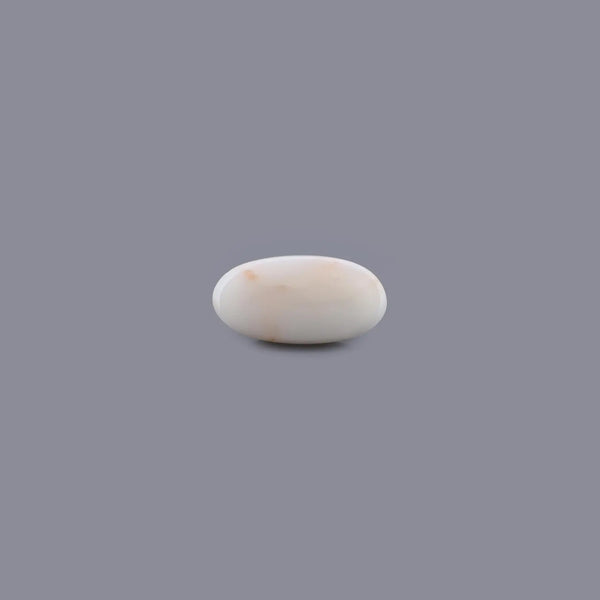 White Coral - 4.37 Carat - Pramogh
