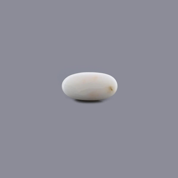 White Coral - 4.31 Carat - Pramogh
